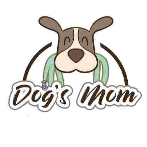 Image of guardería canina y paseador de perros en Barcelona Dog's Mom @dogsmompaseoperrosbcn service in Barcelona, Barcelona, Spain