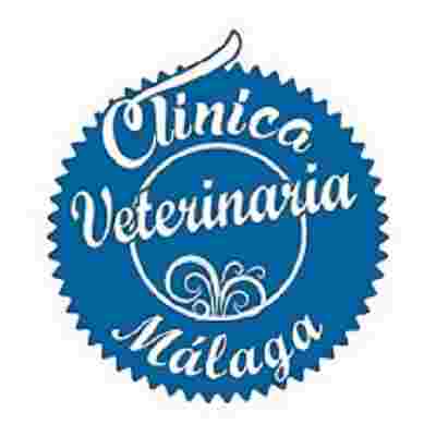 Image of Veterinary Clinic Malaga service in Malaga, Malaga, Spain