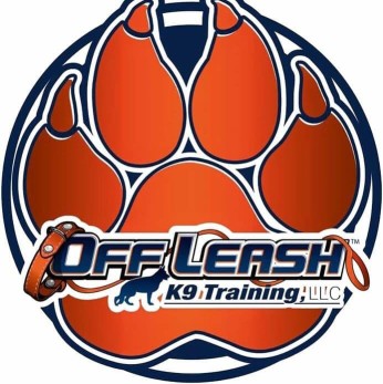 Image of Off Leash K9 - Port St Lucie service in Port Saint Lucie, Florida, United States Image of Off Leash K9 - Port St Lucie service in Port Saint Lucie, Florida, United States