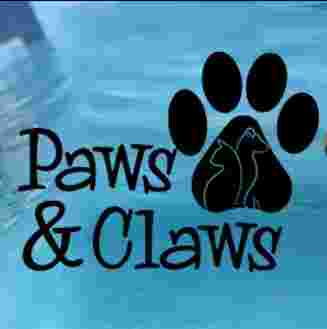 Image of Paws & Claws - Pet Hotel and Daycare service in Los Montesinos, Valencia, Spain