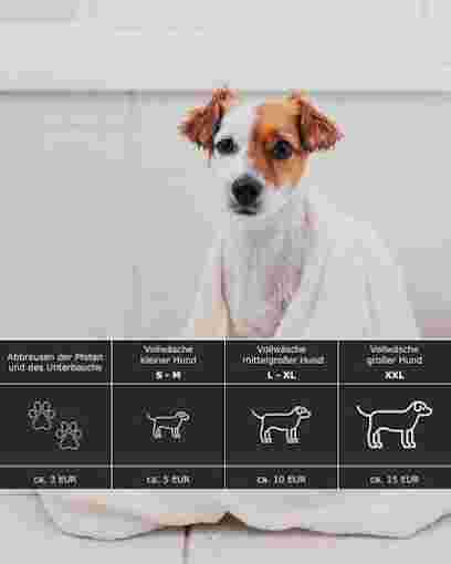 Image of ProDogwash SB-Hundewaschanlage Köln Ehrenfeld service in Koln, Nordrhein-Westfalen, Germany
