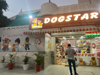 Image of Dogstar F1U service in Delhi, Delhi, India