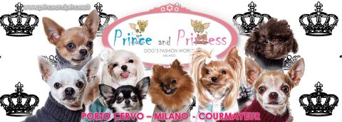 Image of Prince and Princess service in Milano, Lombardia, Italy