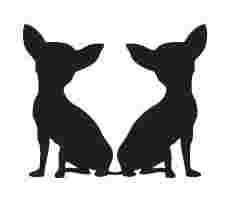 Image of Luxury Pets - Salamanca service in Madrid, Madrid, Spain