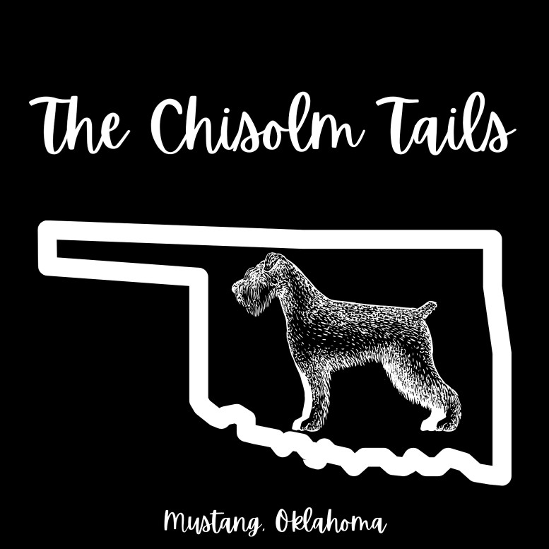 Image of The Chisolm Tails Pet Styling service in Mustang, Oklahoma, United States