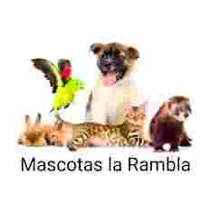Image of Pajarería mascotas la rambla service in Palma, Balears, Spain