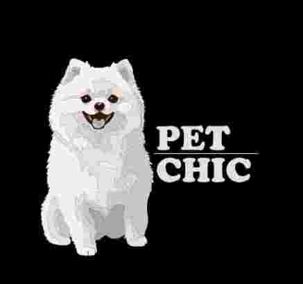 Image of Pet Chic -Murcia service in Murcia, Murcia, Spain
