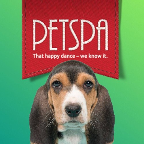 Image of Petspa- Grooming, Resort, Daycare & Boutique service in Doral, Florida, United States