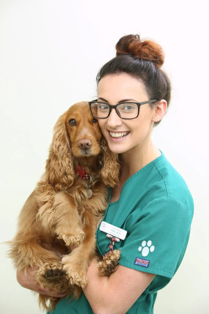 Image of Chantry Vets Alverthorpe Surgery service in Wakefield, England, United Kingdom