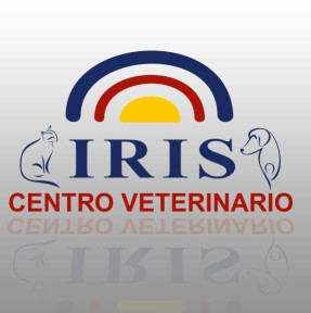 Image of Iris Veterinary Clinic service in Rota, Cadiz, Spain