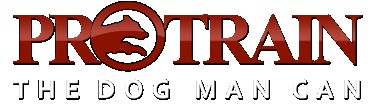 Image of Pro-Train Innovative Dog Training service in Vista, California, United States Image of Pro-Train Innovative Dog Training service in Vista, California, United States