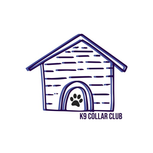 Image of K-9 Collar Club service in Village of Frankfort, New York, United States
