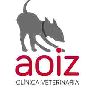 Image of Aoiz Veterinary Clinic service in Pamplona, Navarre, Spain