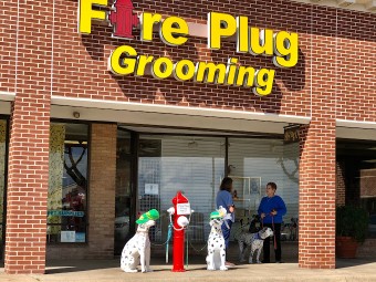 Image of Fire Plug Grooming service in Dallas, Georgia, United States Image of Fire Plug Grooming service in Dallas, Georgia, United States