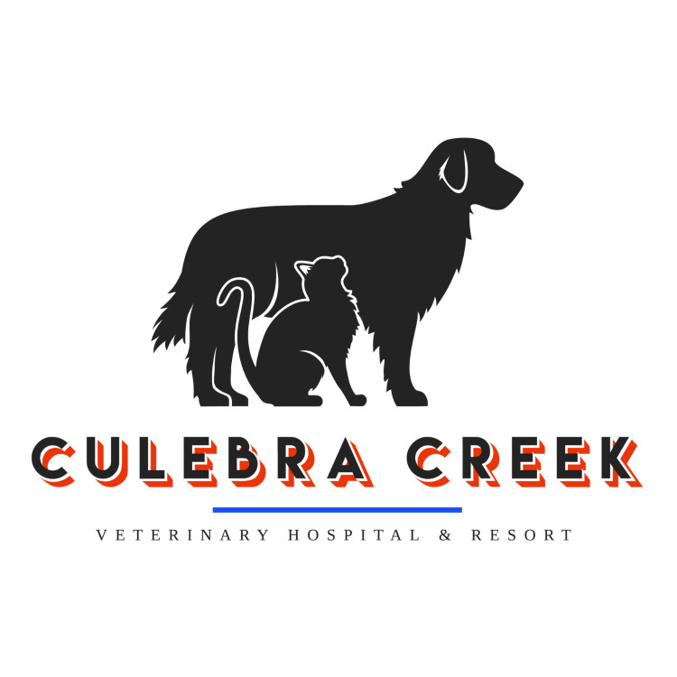 Image of Culebra Creek Veterinary Hospital & Resort service in San Antonio, Texas, United States