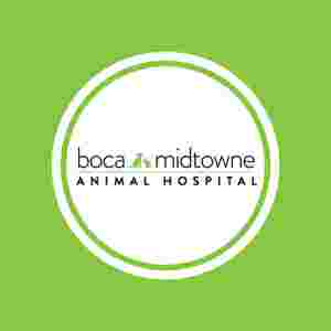 Image of Boca Midtowne Animal Hospital service in Boca del Mar, Florida, United States Image of Boca Midtowne Animal Hospital service in Boca del Mar, Florida, United States