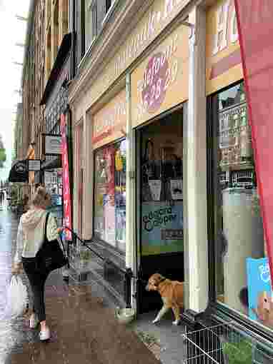 Image of Pet shop Salty service in Amsterdam, North Holland, Netherlands