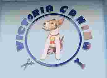 Image of Victoria Canina service in Malaga, Malaga, Spain