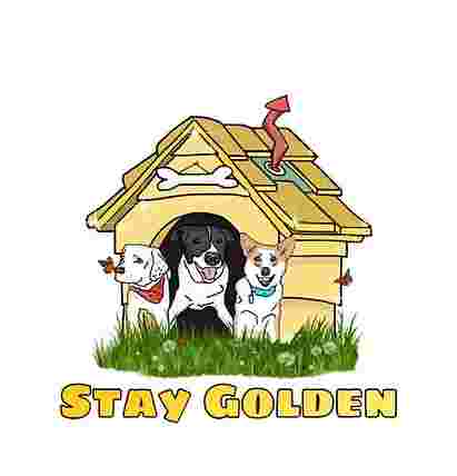 Image of Stay Golden Doggy Daycare & Resort service in Dickson, Tennessee, United States Image of Stay Golden Doggy Daycare & Resort service in Dickson, Tennessee, United States