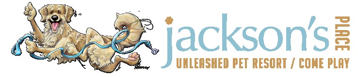Image of Jackson's Place Unleashed Pet Resort & Bakery - Dog Daycare, Dog Boarding, Dog Grooming & Dog Training service in Houston, Minnesota, United States