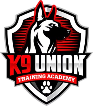 Image of K9 Union Training Academy service in Oshawa, Ontario, Canada Image of K9 Union Training Academy service in Oshawa, Ontario, Canada