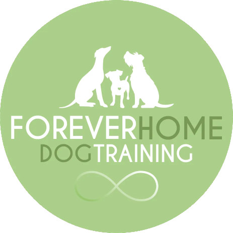 Image of Forever Home Dog Training service in Hazel Grove, England, United Kingdom