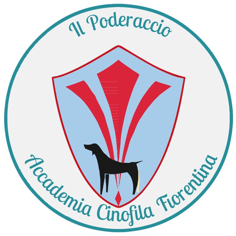 Image of Accademia Cinofila Fiorentina service in Firenze, Firenze, Italy