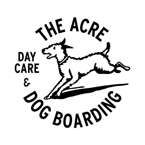 Image of The Acre: Dog Boarding and Daycare service in Austin, Minnesota, United States