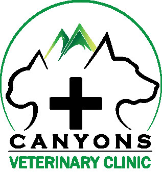 Image of Canyons Veterinary Clinic service in Cottonwood Heights, Utah, United States