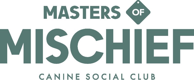 Image of Masters Of Mischief Canine Social Club service in Kingston, Ontario, Canada Image of Masters Of Mischief Canine Social Club service in Kingston, Ontario, Canada