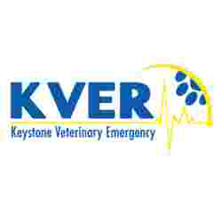 Image of Keystone Veterinary Emergency & Referral, A Thrive Pet Healthcare Partner service in Havertown, Pennsylvania, United States