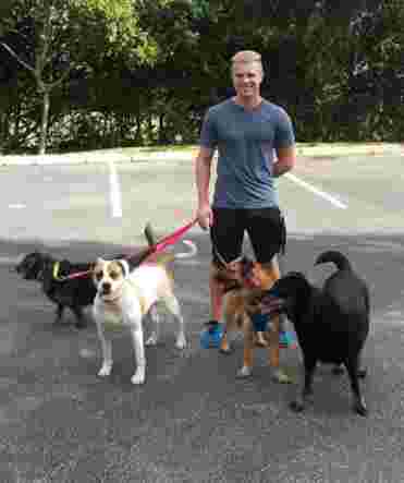 Image of Yesdogtraining service in Palm Beach Gardens, Florida, United States Image of Yesdogtraining service in Palm Beach Gardens, Florida, United States