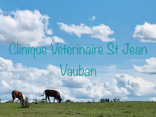 Image of Clinique Vétérinaire St Jean Vauban service in Savigneux, Auvergne-Rhône-Alpes, France
