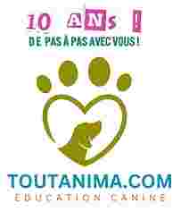 Image of Toutanima éducation canine service in Candiac, Quebec, Canada Image of Toutanima éducation canine service in Candiac, Quebec, Canada