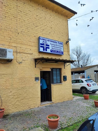 Image of Clinica Veterinaria TAC Roma service in Roma, Lazio, Italy Image of Clinica Veterinaria TAC Roma service in Roma, Lazio, Italy