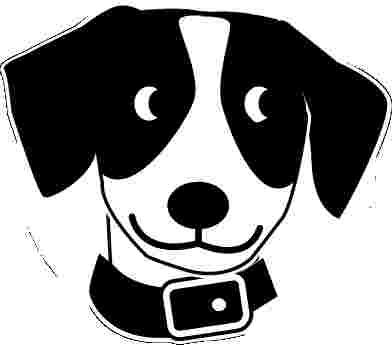 Image of Acme Dog Run service in New York, New York, United States