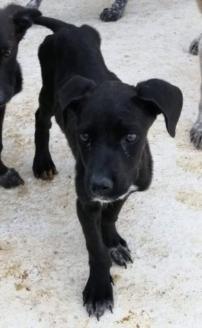 Image of Anime Innocenti - Panattoni service in Roma, Lazio, Italy