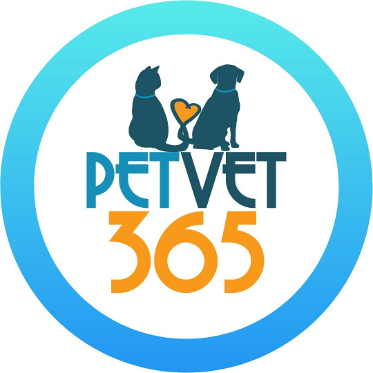 Image of PetVet365 Pet Hospital Indianapolis / Cool Creek service in Carmel, California, United States