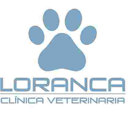 Image of VETERINARY CLINIC LORANCA service in Fuenlabrada, Madrid, Spain