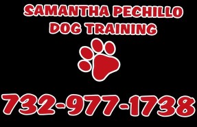Image of Samantha Pechillo Dog Training service in Wall Township, New Jersey, United States Image of Samantha Pechillo Dog Training service in Wall Township, New Jersey, United States