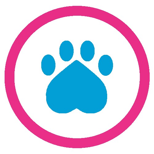 Image of Classic Dog Grooming service in Chula Vista, California, United States Image of Classic Dog Grooming service in Chula Vista, California, United States