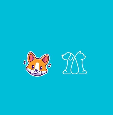 Image of HACHI veterinaria (antes pets city) service in León de los Aldama, Guanajuato, Mexico