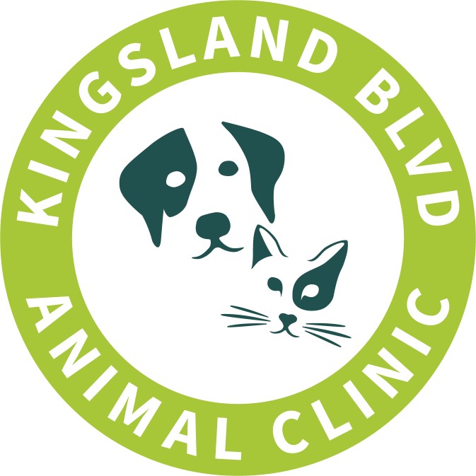 Image of Kingsland Blvd Animal Clinic service in Katy, Texas, United States