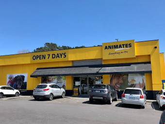 Image of Animates Botany Downs service in Auckland, Auckland, New Zealand