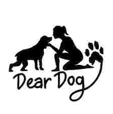 Image of Dear Dog service in Christchurch, Canterbury, New Zealand Image of Dear Dog service in Christchurch, Canterbury, New Zealand