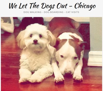 Image of We Let The Dogs Out - Chicago service in Chicago, Illinois, United States Image of We Let The Dogs Out - Chicago service in Chicago, Illinois, United States