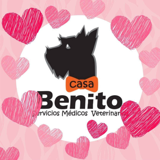 Image of Casa Benito service in Heroica Puebla de Zaragoza, Puebla, Mexico