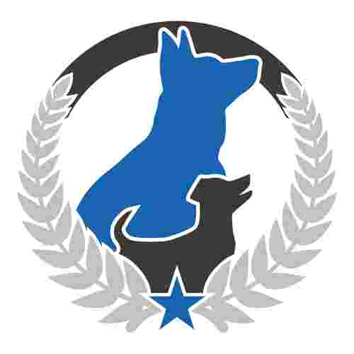Image of Dog Training Elite West Houston Facility service in Katy, Texas, United States Image of Dog Training Elite West Houston Facility service in Katy, Texas, United States