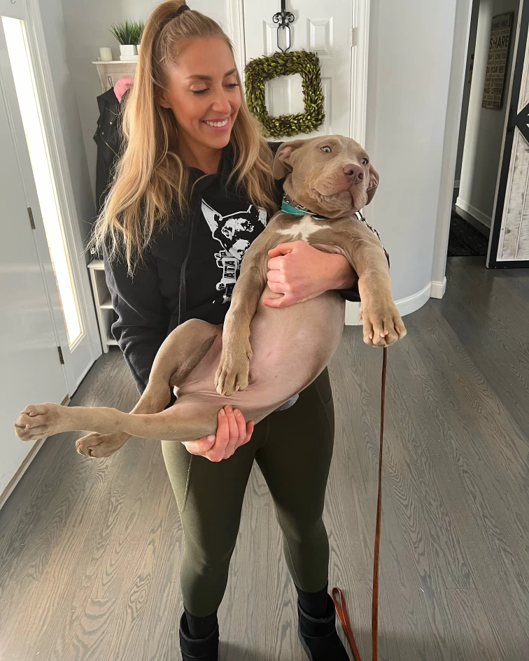 Image of Confident K9 Obedience service in Commack, New York, United States Image of Confident K9 Obedience service in Commack, New York, United States
