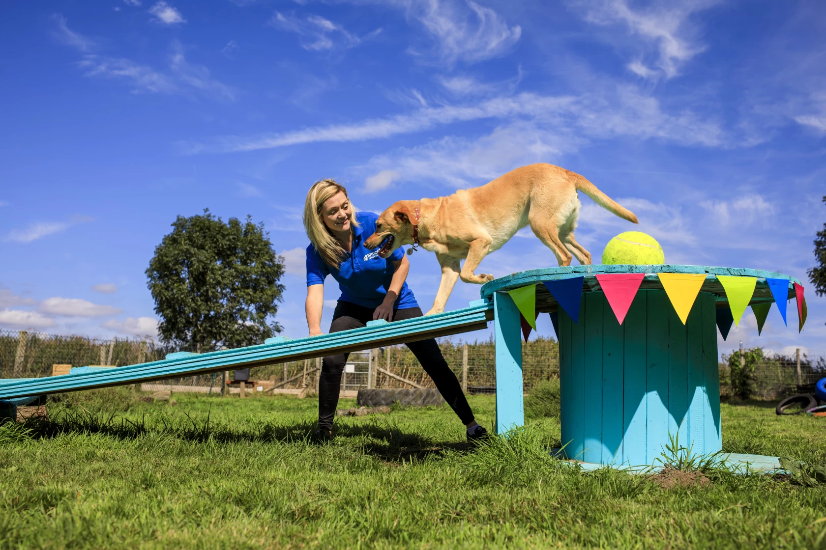 Image of Bruce's Doggy Day Care Ditchling Brighton service in Lewes, England, United Kingdom Image of Bruce's Doggy Day Care Ditchling Brighton service in Lewes, England, United Kingdom